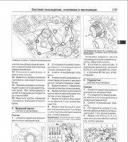 Система охлаждения Citroen C4 Picasso