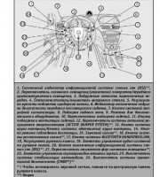 Система смазки двигателя