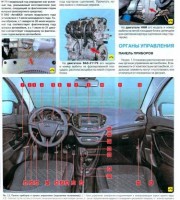 Органы управления