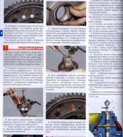 Кольцо подшипников дифферинциала